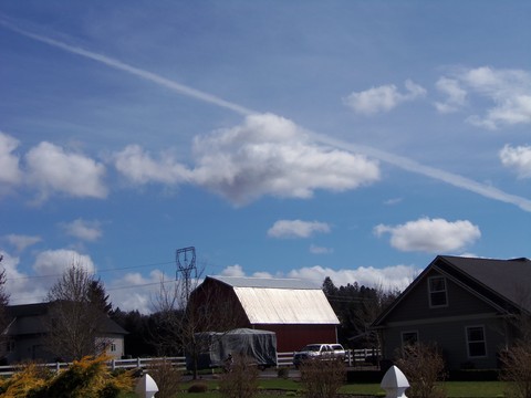 100_1668.JPG