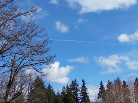 100_1670.JPG