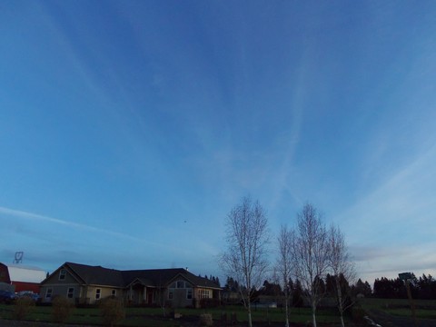 100_1677.JPG