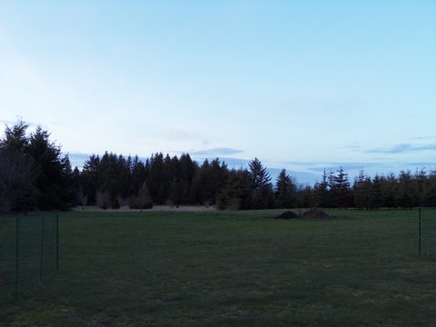 100_1682.JPG