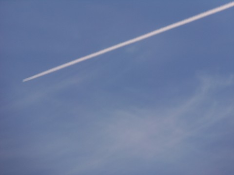 100_1686.JPG