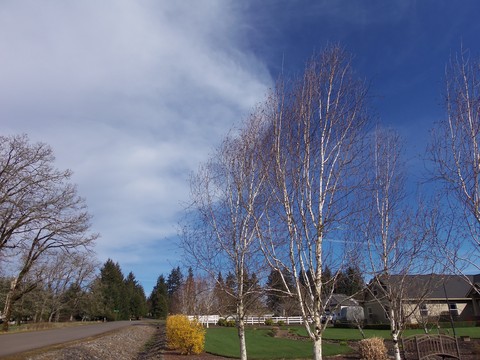 100_1690.JPG