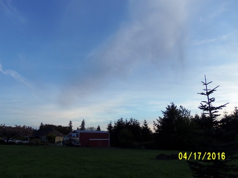 100_0696.JPG