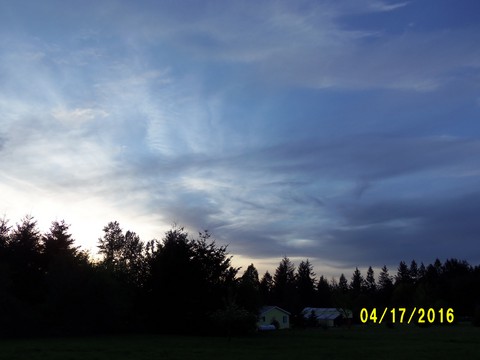100_0697.JPG