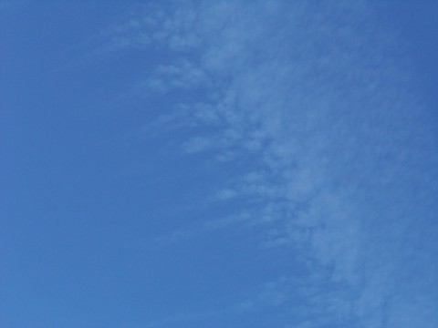 100_1703.JPG