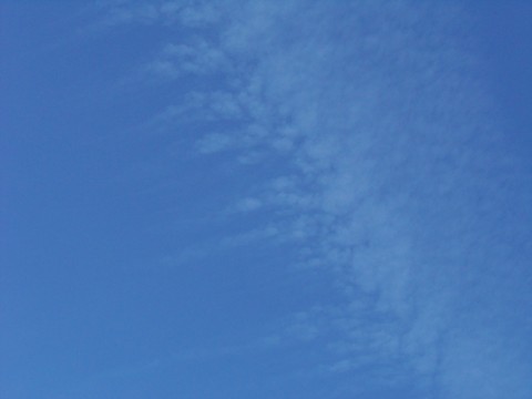 100_1704.JPG