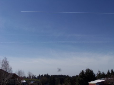 100_1708.JPG