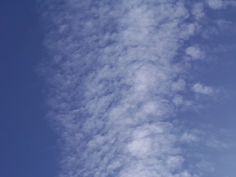 100_1710.JPG