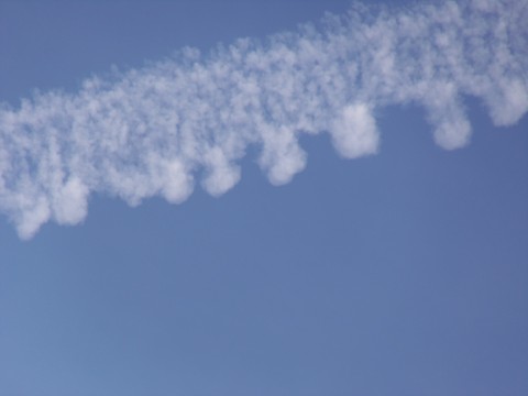 100_1712.JPG