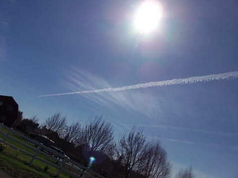 100_1713.JPG