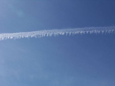 100_1714.JPG