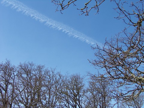 100_1715.JPG