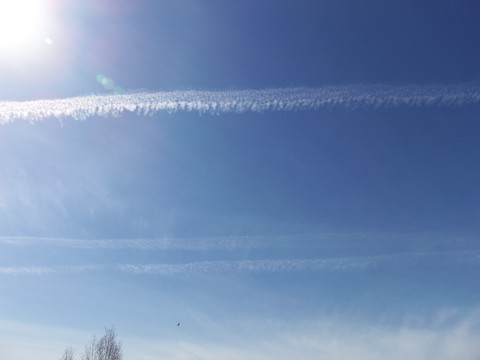 100_1719.JPG