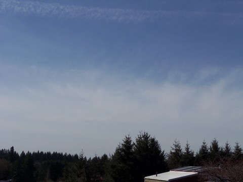 100_1718.JPG