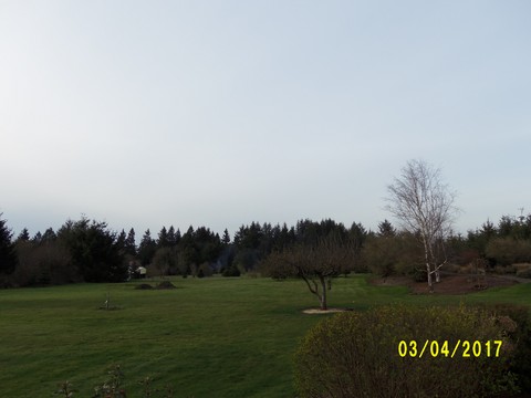 100_1735.JPG