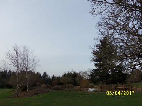 100_1737.JPG