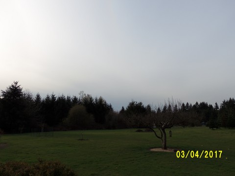 100_1738.JPG