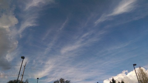 IMAG00254.jpg