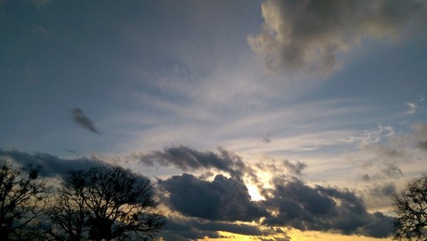 IMAG00255.jpg