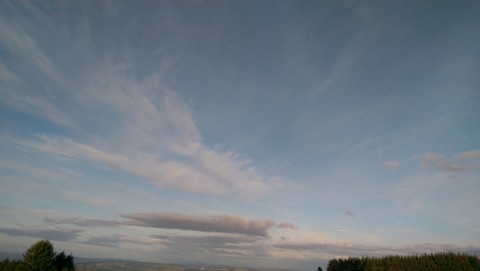 IMAG00257.jpg