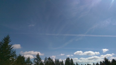 IMAG00265.jpg