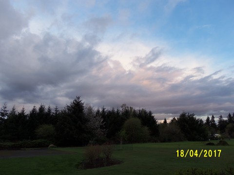 100_1749.JPG
