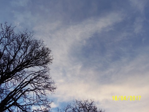 100_1750.JPG