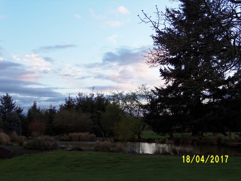 100_1751.JPG