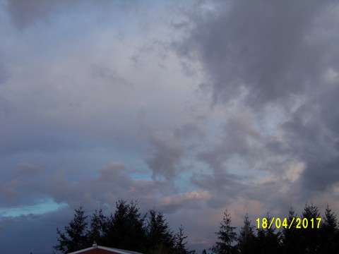 100_1753.JPG