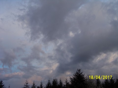 100_1754.JPG