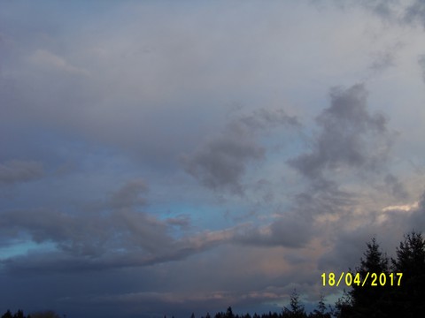 100_1755.JPG
