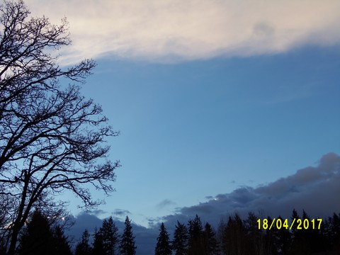 100_1756.JPG
