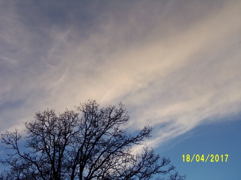 100_1757.JPG