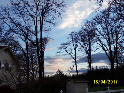 100_1758.JPG