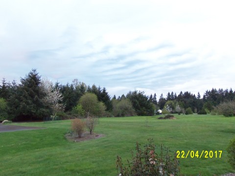 100_1760.JPG