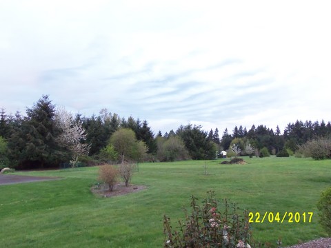 100_1761.JPG