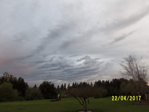 100_1764.JPG
