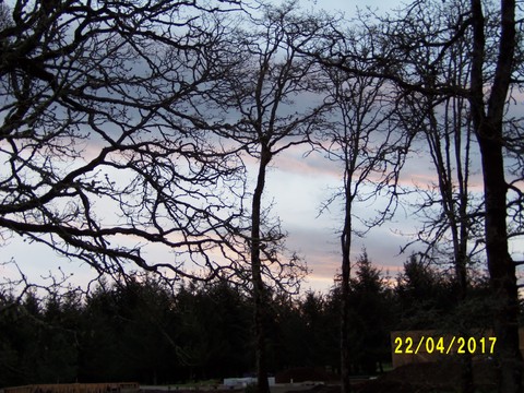 100_1765.JPG