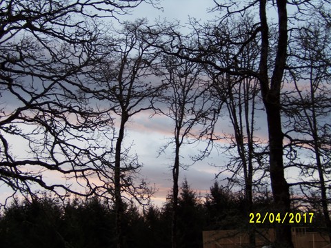100_1766.JPG