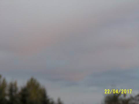 100_1767.JPG