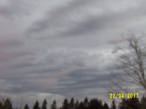 100_1768.JPG
