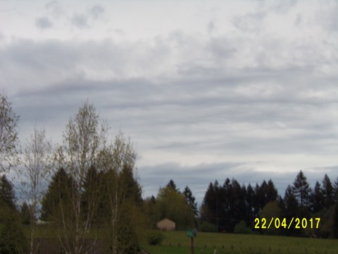 100_1769.JPG