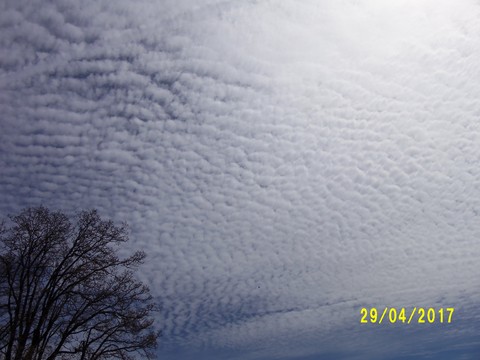 100_1771.JPG