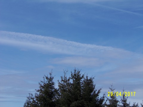 100_1772.JPG