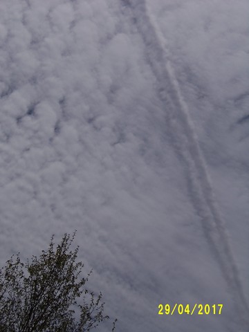 100_1773.JPG