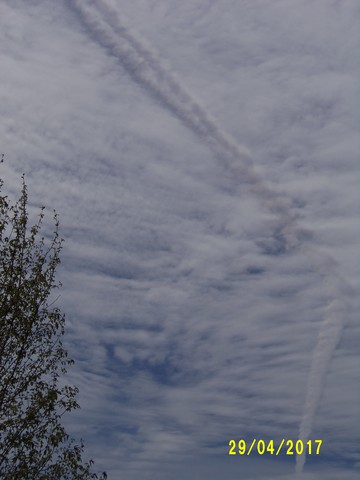 100_1774.JPG