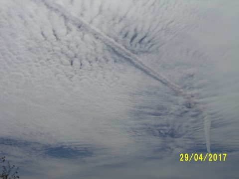 100_1775.JPG