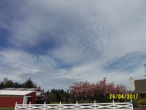 100_1776.JPG