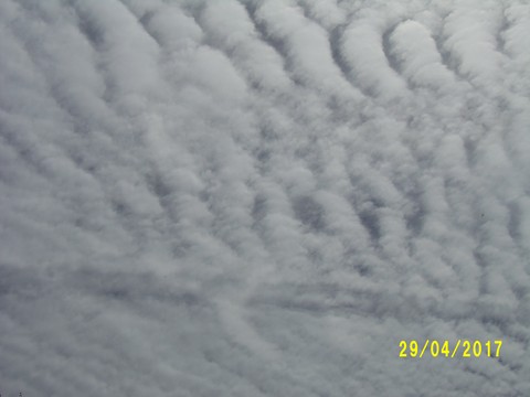 100_1778.JPG