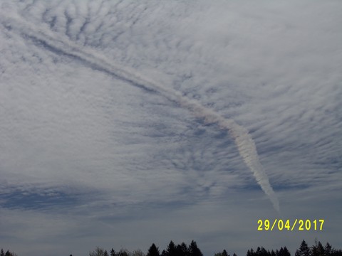 100_1779.JPG